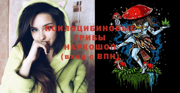 ECSTASY Алексин