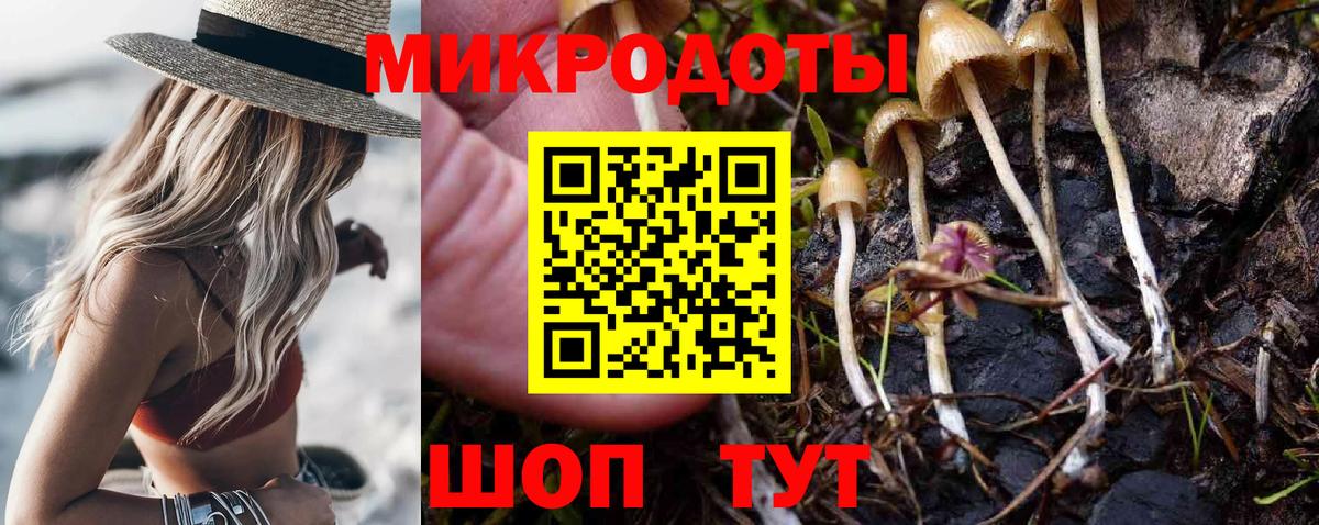 Псилоцибиновые грибы Cubensis Каменск-Уральский