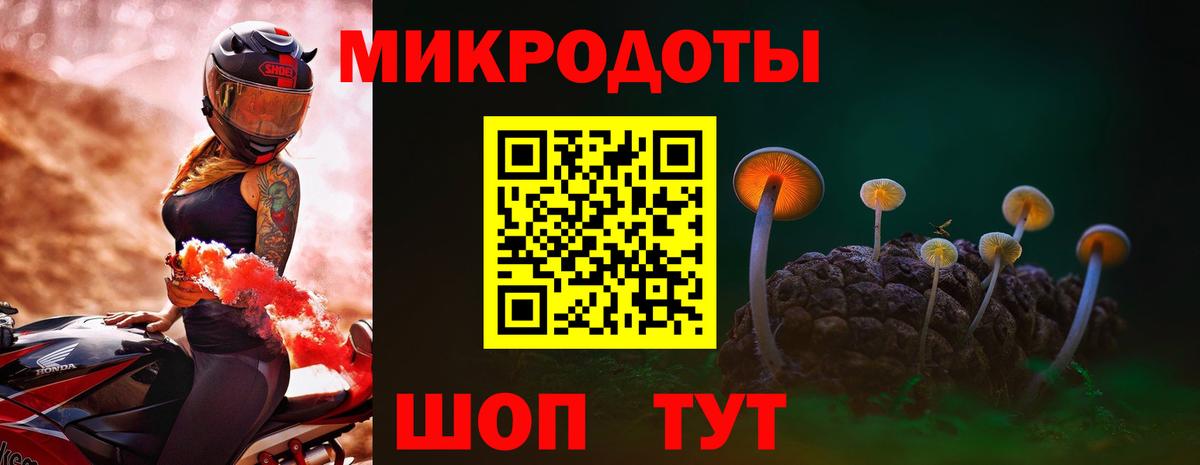 Галлюциногенные грибы Psilocybe  Вход с VPN  Каменск-Уральский 